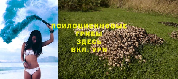PSILOCYBIN Балахна