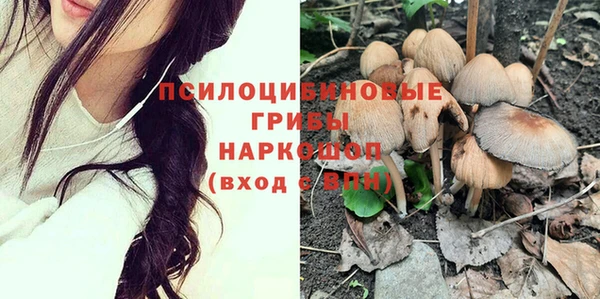 шишки Баксан