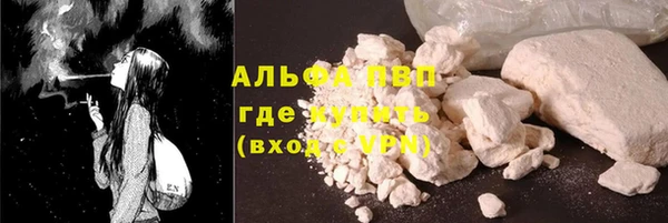 шишки Баксан