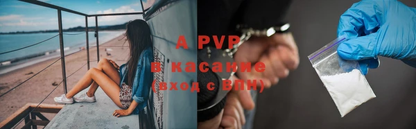 шишки Баксан