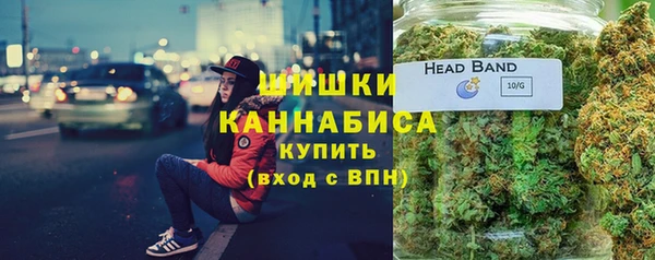 шишки Баксан