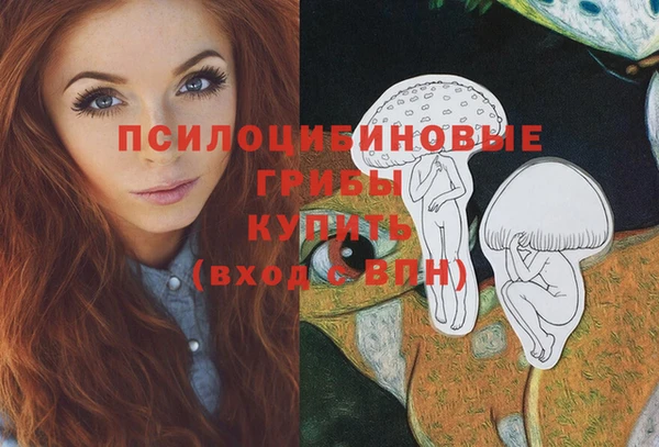 шишки Баксан