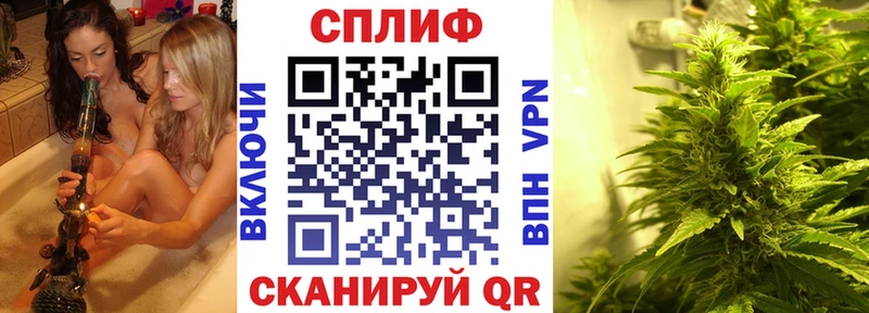 Шишки марихуана план  Горно-Алтайск 